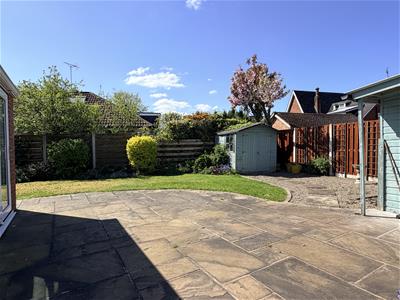 Picture 21